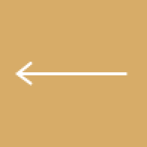 Previous Arrow Icon